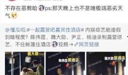 国产酒店视频,探秘现代与传统交融的住宿体验