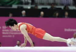 国产操操操,引领健身潮流的创新之作