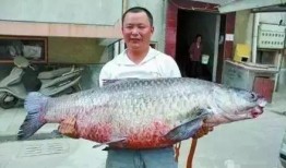 青鱼视频国产在线