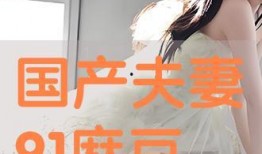 国产夫妻91,揭秘国产影视行业中的甜蜜与挑战