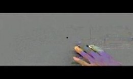 欲望岛国产,揭秘神秘岛屿的诱惑与秘密