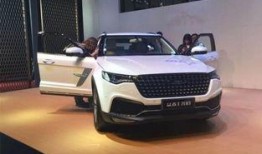 4虎国产视频,激情燃烧的青春岁月